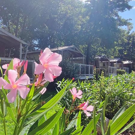 Camping Capfun La Breteche Les Épesses Exteriér fotografie